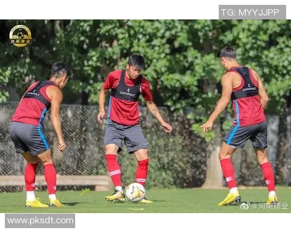 足球焦点：成都足球队的团队协作探讨